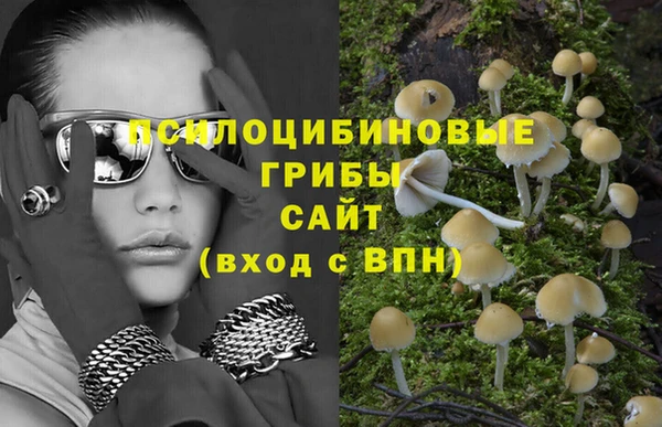наркотики Алексин