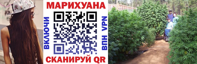 Конопля SATIVA & INDICA  Новоалтайск 
